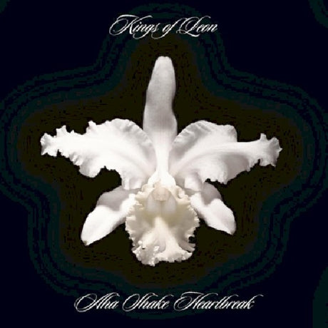 Kings Of Leon - A-ha shake heartbreak (CD)