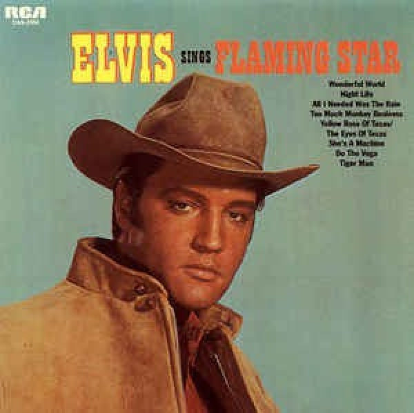 Elvis Presley - Flaming star (CD single)