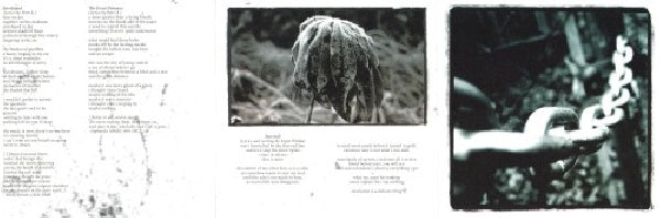 Rapture - Songs for the withering (CD) - Velvet Music