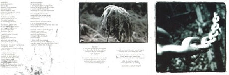 Rapture - Songs for the withering (CD) - Velvet Music