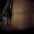 Alien Ensemble - Alien ensemble 2 (CD) - Velvet Music