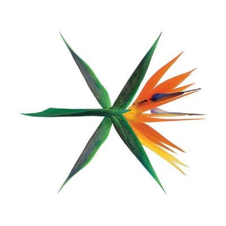 Exo - War (CD) - Velvet Music