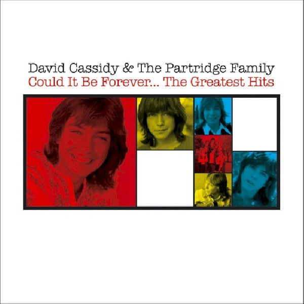 David Cassidy &amp; The Partridge Family - Could it be forever - the greatest hits (CD)