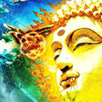 Rikard Sjöblom S Gungfly - On her journey to the sun (CD) - Velvet Music