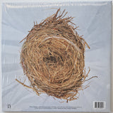 Wilco - A Ghost Is Born (LP) - Velvet Music