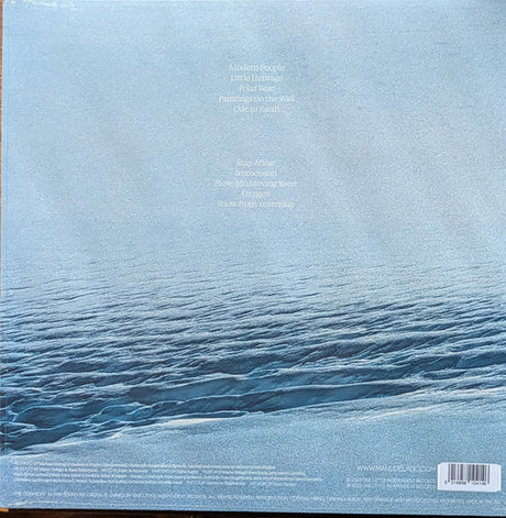 Manu Delago & Mad About Lemon - Snow From Yesterday (LP)