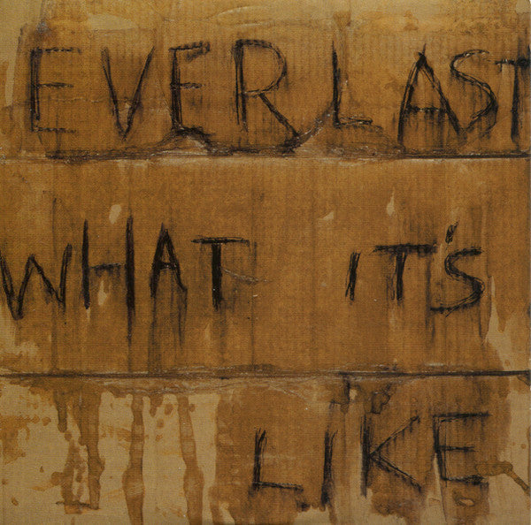 Everlast - What It's Like (tweedehands CD) - Velvet Music