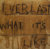 Everlast - What It's Like (tweedehands CD) - Velvet Music