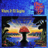 The Allman Brothers Band - Where it all begins (CD)