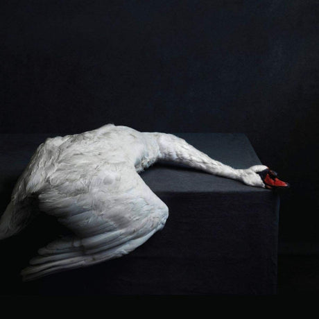 Amenra - Mass vi (LP) - Velvet Music