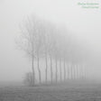 Marisa Anderson - Cloud corner (CD)