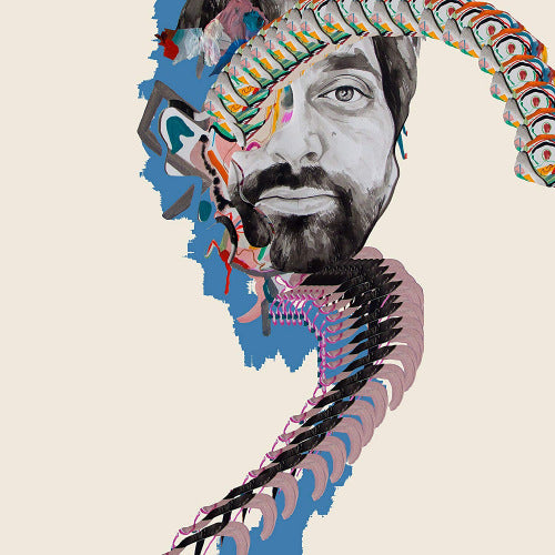 Animal Collective - Painting with (LP) - Velvet Music