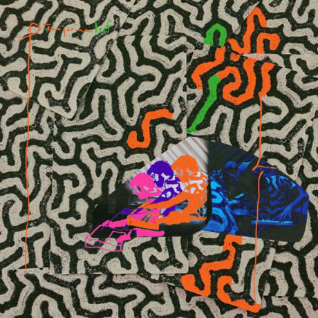 Animal Collective - Tangerine reef (CD) - Velvet Music
