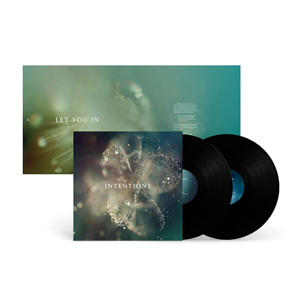 ANNA - Intentions (LP)