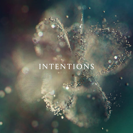 ANNA - Intentions (CD) - Velvet Music
