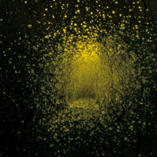 Antlers - Burst Apart (CD)