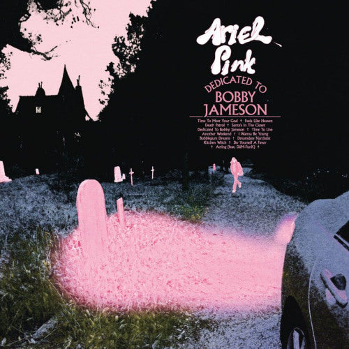Ariel Pink - Dedicated to bobby jameson (CD)
