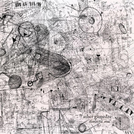 Asher Gamedze - Dialectic soul (LP) - Velvet Music