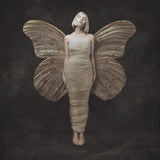 AURORA - All my demons greeting me as a friend (LP) - Velvet Music