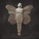 AURORA - All my demons greeting me as a friend (LP) - Velvet Music