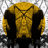 Austra - Feel it break (CD) - Velvet Music