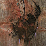Avey Tare's Slasher Flicks - Enter the slasher house (CD) - Velvet Music