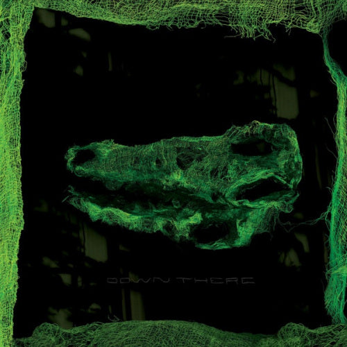 Avey Tare - Down there (CD) - Velvet Music