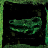 Avey Tare - Down there (CD) - Velvet Music