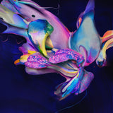 Avondlicht - Hyperromance (LP)