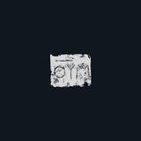 A Swarm Of The Sun - Woods (LP)