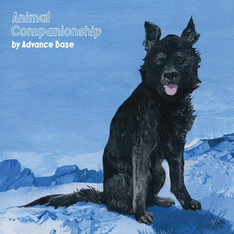Advance Base - Animal companionship (LP) - Velvet Music