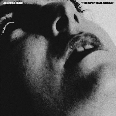 Agriculture - The spiritual sound (lemon yellow) (LP) - Velvet Music