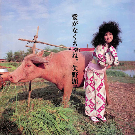 Akiko Yano - Ai ga nakucha ne (CD) - Velvet Music