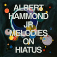 Albert Hammond Jr. - Melodies on hiatus (CD) - Velvet Music