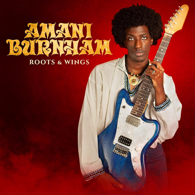 Amani Burnham - Roots & wings (LP) - Velvet Music