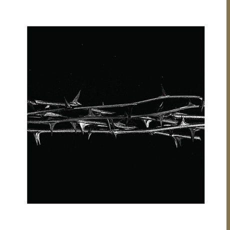 Amenra - De doorn (LP) - Velvet Music