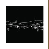 Amenra - De doorn (LP) - Velvet Music
