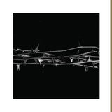 Amenra - De doorn (CD) - Velvet Music