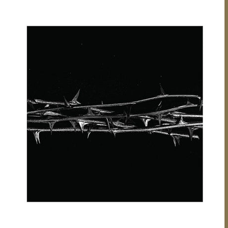 Amenra - De doorn (CD) - Velvet Music
