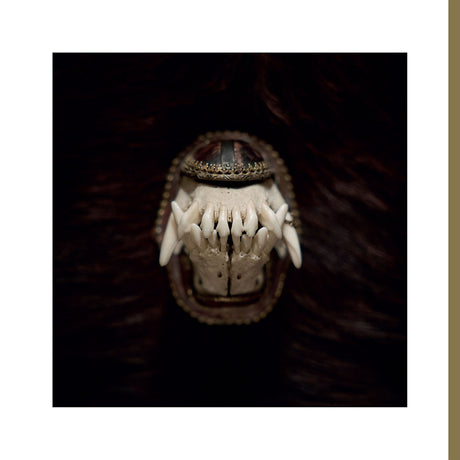 Amenra - De toorn (12-inch maxi-single) - Velvet Music