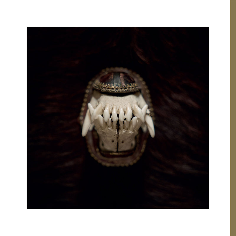 Amenra - De toorn (12-inch maxi-single) - Velvet Music