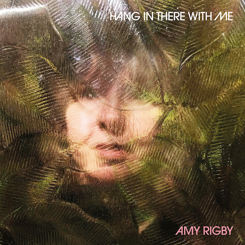 Amy Rigby - Hang in there with me (LP)