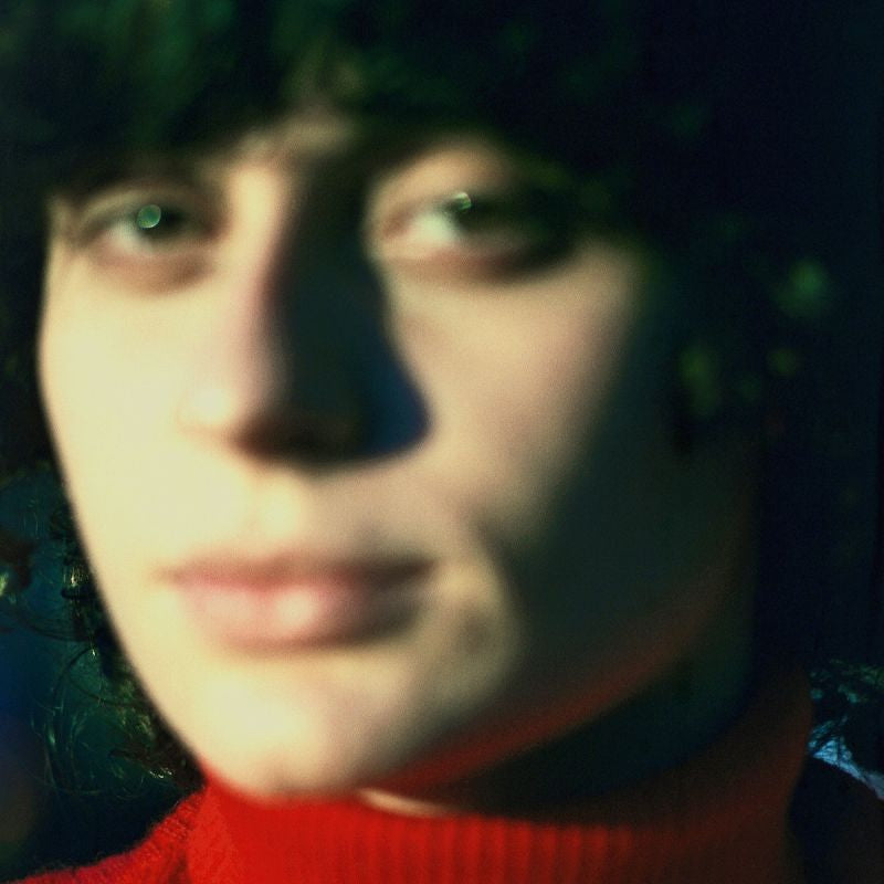 Ana Frango Eletrico - Little electric chicken heart (LP) - Velvet Music