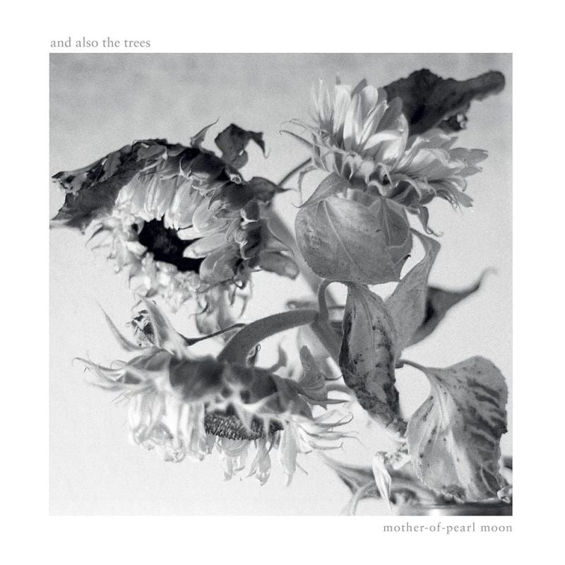 And Also The Trees - Mother-of-pearl moon (LP) - Velvet Music