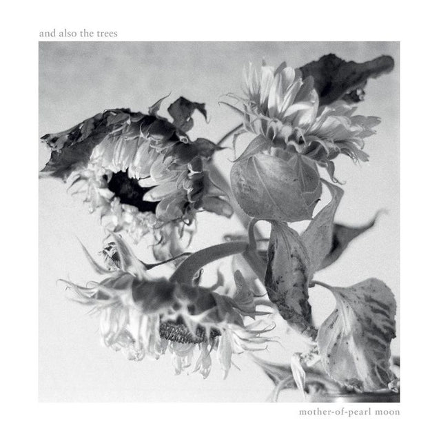 And Also The Trees - Mother-of-pearl moon (LP) - Velvet Music