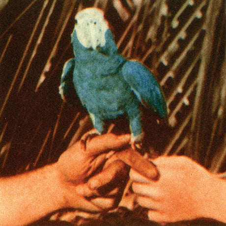 Andrew Bird - Are you serious (LP) - Velvet Music