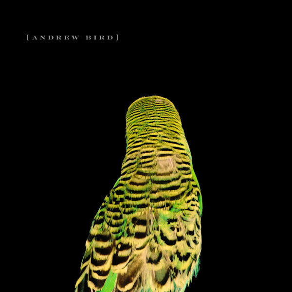 Andrew Bird - Armchair apocrypha (CD) - Velvet Music
