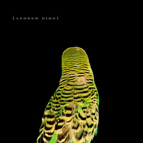 Andrew Bird - Armchair apocrypha (CD) - Velvet Music