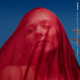 Ane Brun - How beauty holds the hand of sorrow (LP)