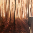 Anekdoten - A time of day (CD) - Velvet Music